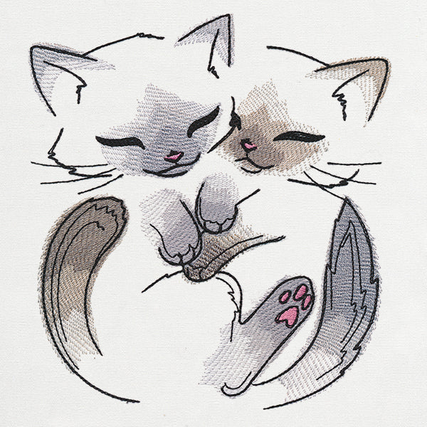Kitty Snuggles