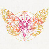 Bohemian Summer - Moth