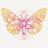 Bohemian Summer - Moth