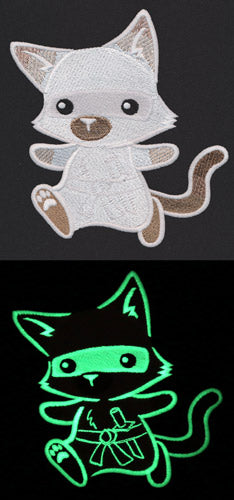 Secret Ninja Kitty