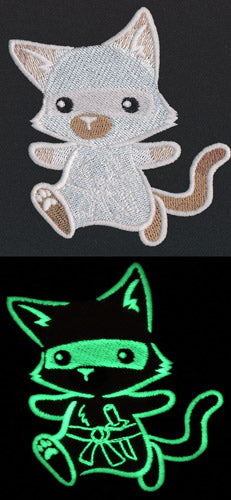 Secret Ninja Kitty