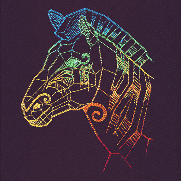 Serengeti - Zebra