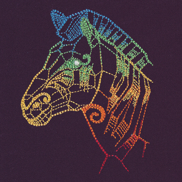 Serengeti - Zebra