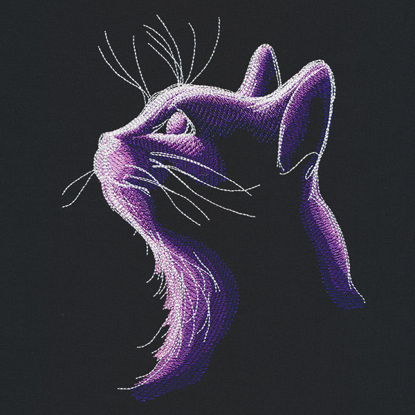 Dark Cat