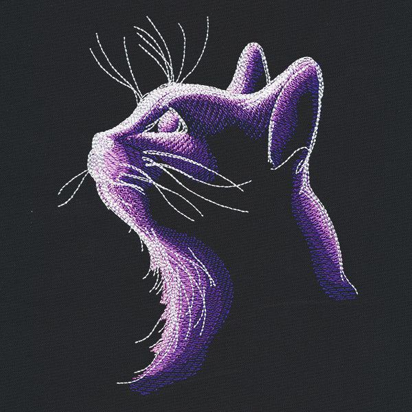 Dark Cat