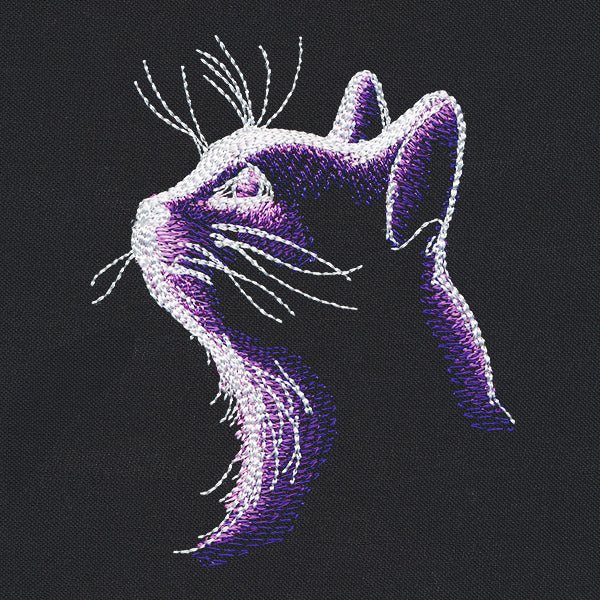 Dark Cat