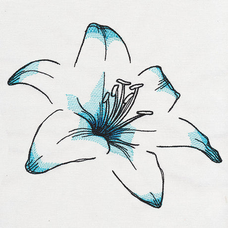 Delicate Petals