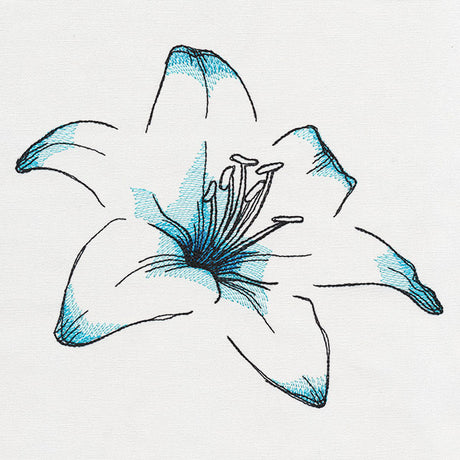 Delicate Petals