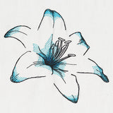 Delicate Petals