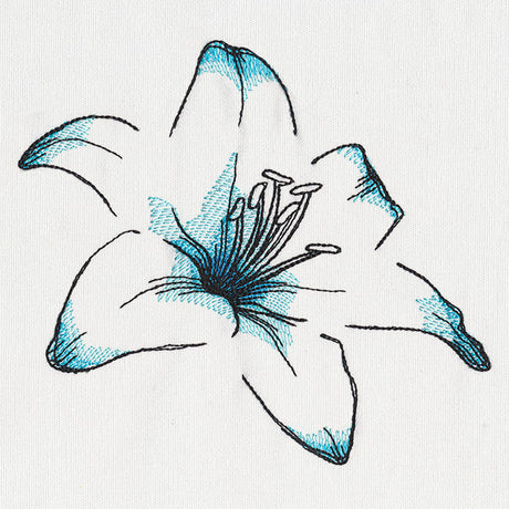 Delicate Petals