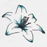 Delicate Petals