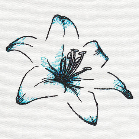 Delicate Petals