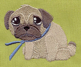 Pouty Pug