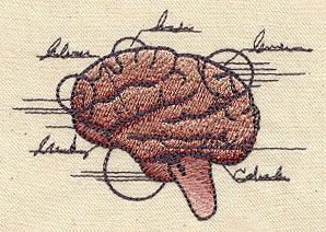 Anatomical Brain