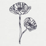 Delicate Poppy