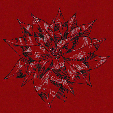 Poinsettia Sketch