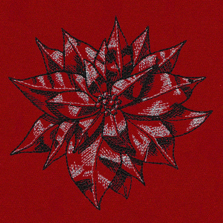 Poinsettia Sketch