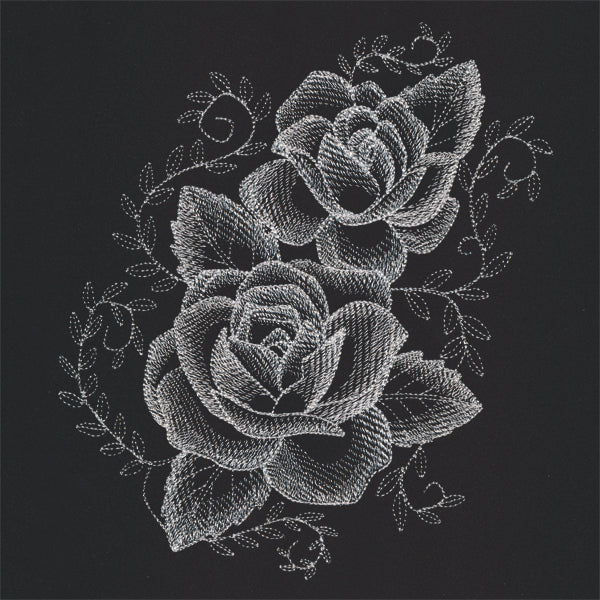 Sheer Beauty Roses