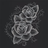 Sheer Beauty Roses