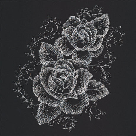 Sheer Beauty Roses