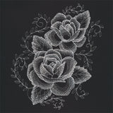 Sheer Beauty Roses