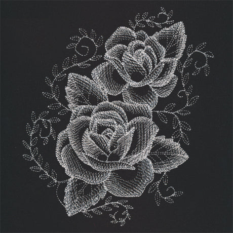 Sheer Beauty Roses