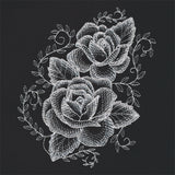 Sheer Beauty Roses