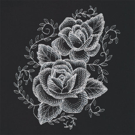 Sheer Beauty Roses