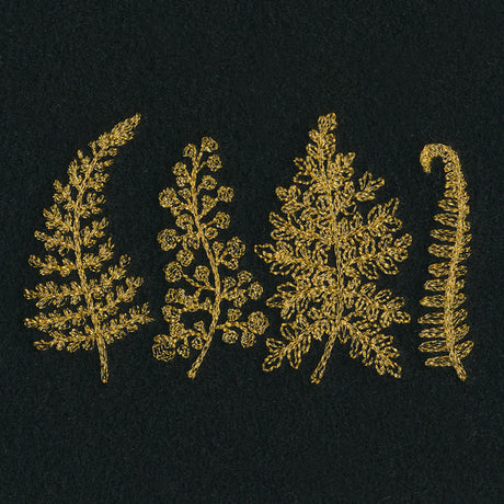Fern Fronds