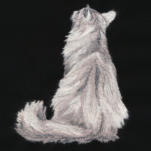 Brushed Kitty