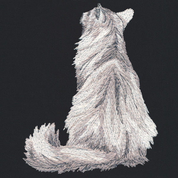 Brushed Kitty
