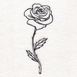 Rose in Bloom
