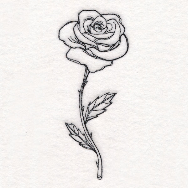 Rose in Bloom