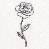 Rose in Bloom