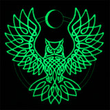 Moon Glow Owl
