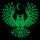 Moon Glow Owl