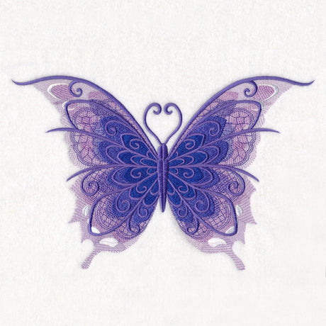 Bold Baroque Butterfly