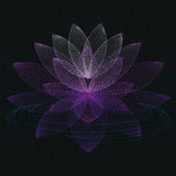 Mirage Lotus