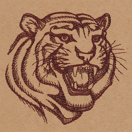 Tiger Talk