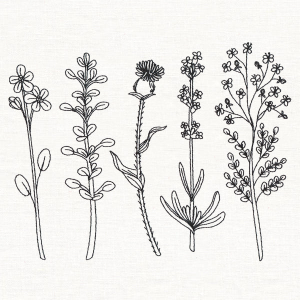 Botanical Blooms