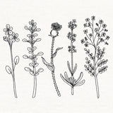 Botanical Blooms