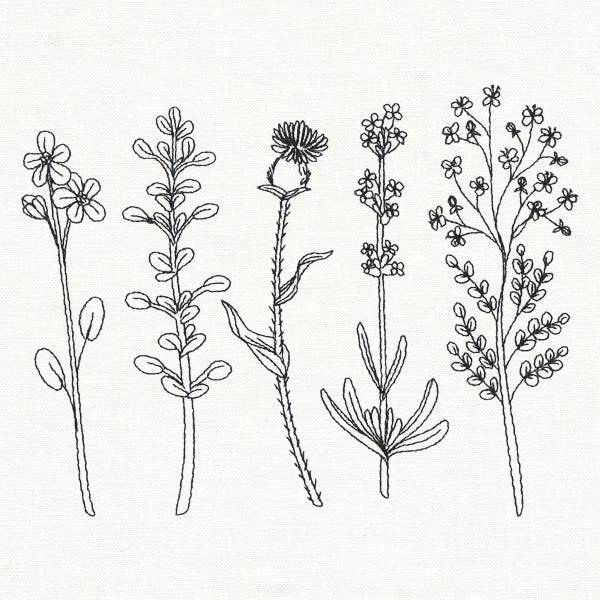 Botanical Blooms