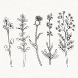 Botanical Blooms