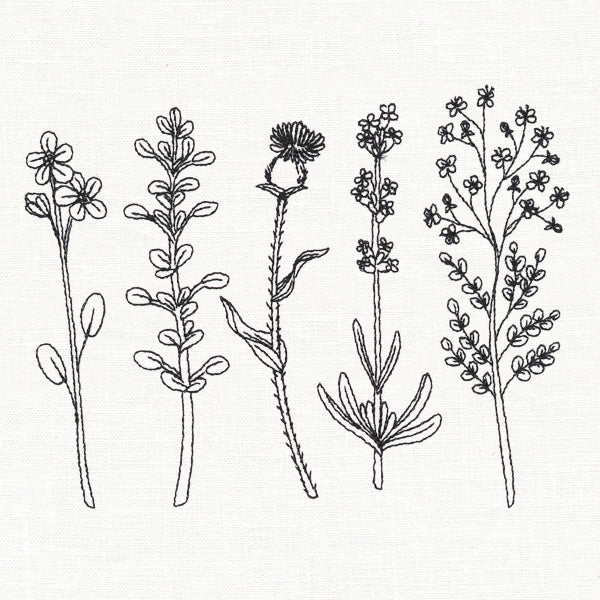Botanical Blooms