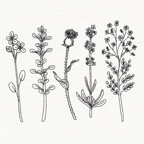Botanical Blooms