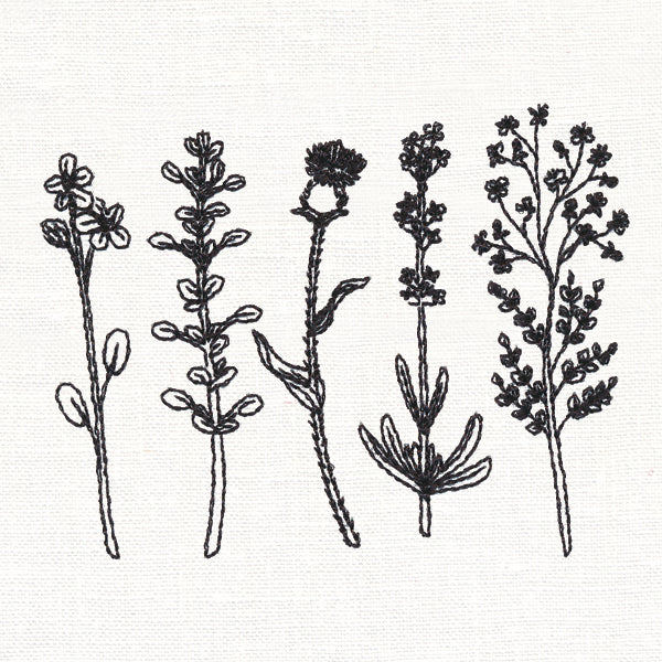 Botanical Blooms