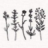 Botanical Blooms