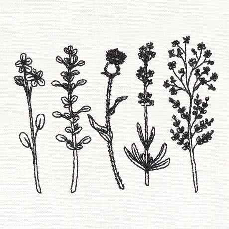 Botanical Blooms