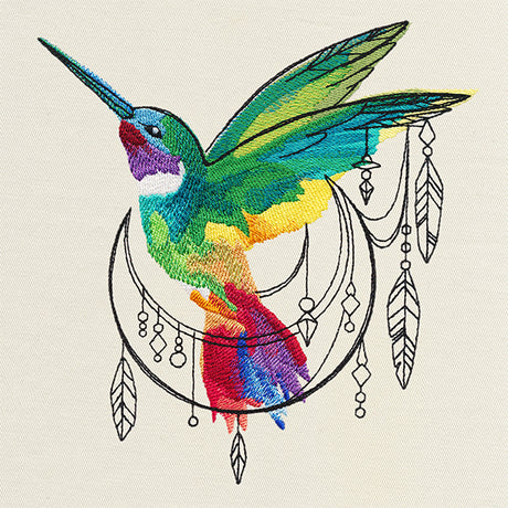 Bohemian Hummingbird