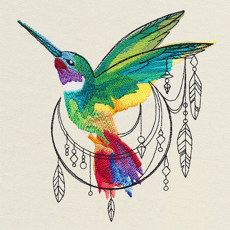 Bohemian Hummingbird